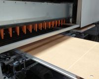 linia trp  